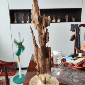 One-of-a-Kind Natural Agarwood (Oud) Freeform Carving – Rare Aromatic Art Piece