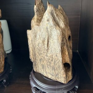 One-of-a-Kind Natural Agarwood (Oud) Freeform Carving – Rare Aromatic Art Piece